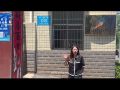 A fast factory view of Sanxin plant 1