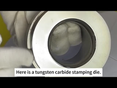 Zhuzhou Sanxin Cemented Carbide - mold