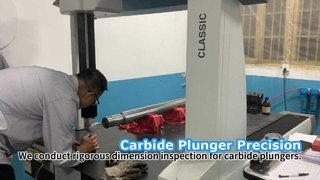 High Precision Carbide Plunger Strict Inspection